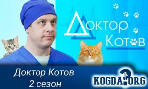 Доктор Котов 2 сезон