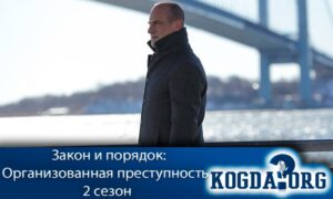 Закон и порядок: Организованная преступность 2 сезон