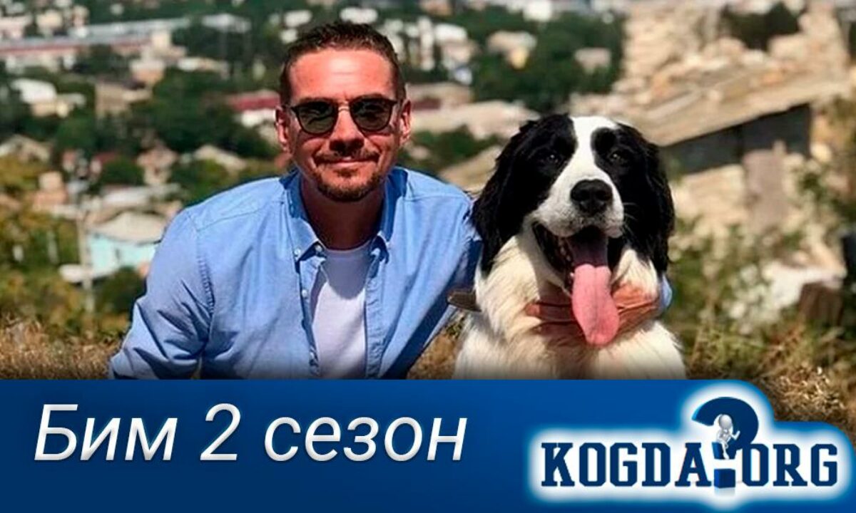 Бим 2 29. Бим 2 сериал. Фильм Бим 2021. Бим сериал Постер. Бим 2 актеры.